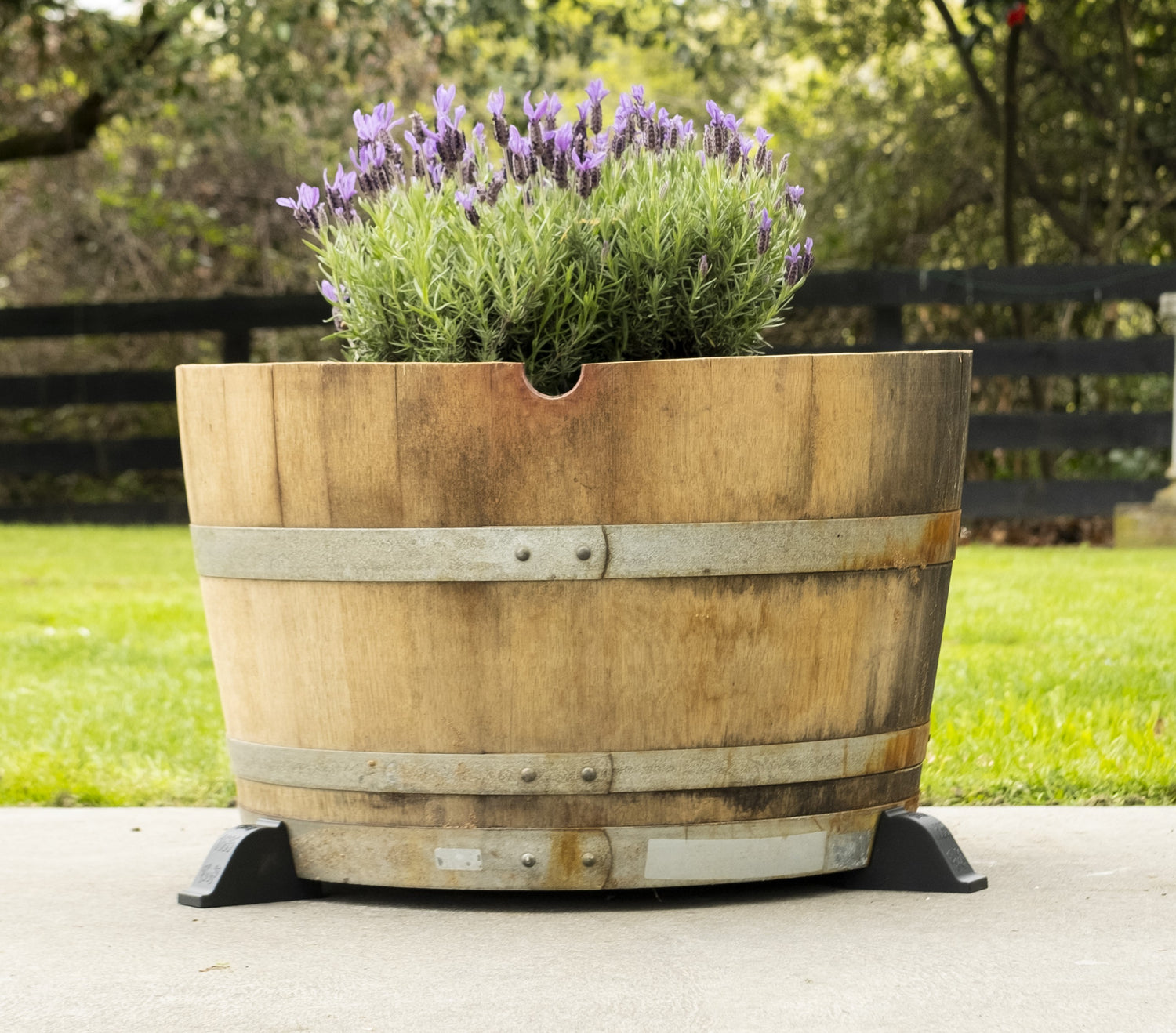 Half wine barrel planter using OAKENZ barrel feet to raise it off the concrete