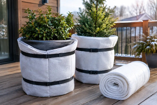 How to Insulate Planters for Winter Safely