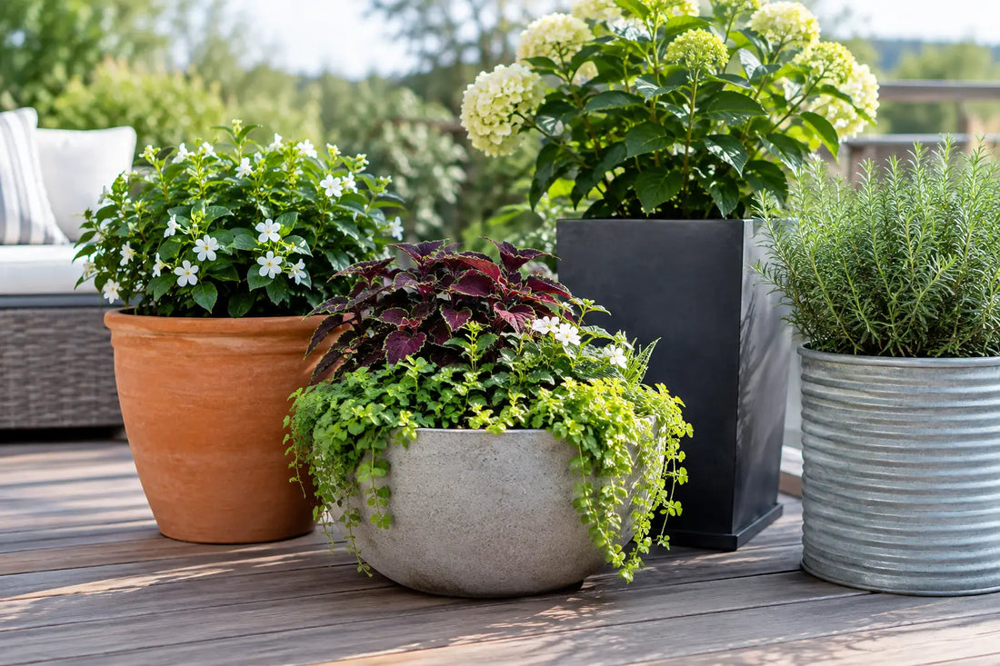 Does Planter Material Matter for Plant Health?