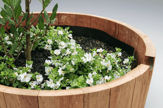 Half Barrel Planter Liner: What to Know - OAKENZ