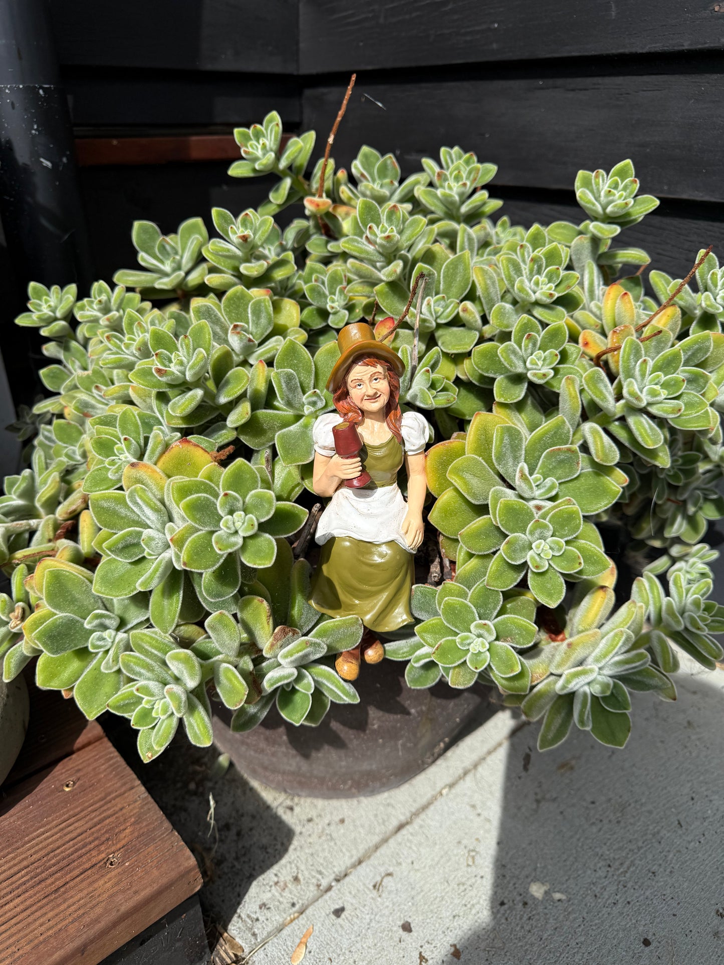 OAKENZ female garden sculpture designed for patios and flower beds