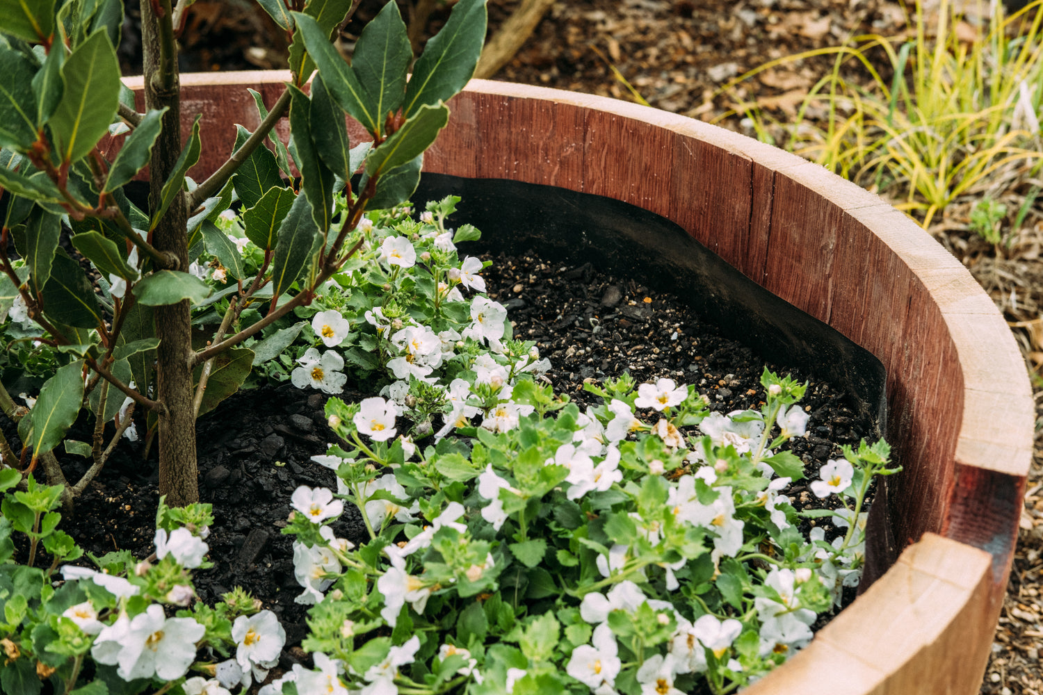 OAKENZ barrel liner kit fitted inside half wine barrel planter