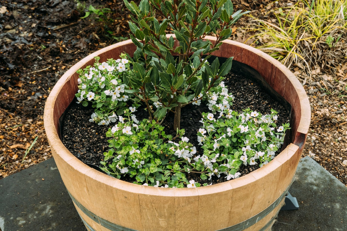 Barrel Liner Kit - OAKENZ
