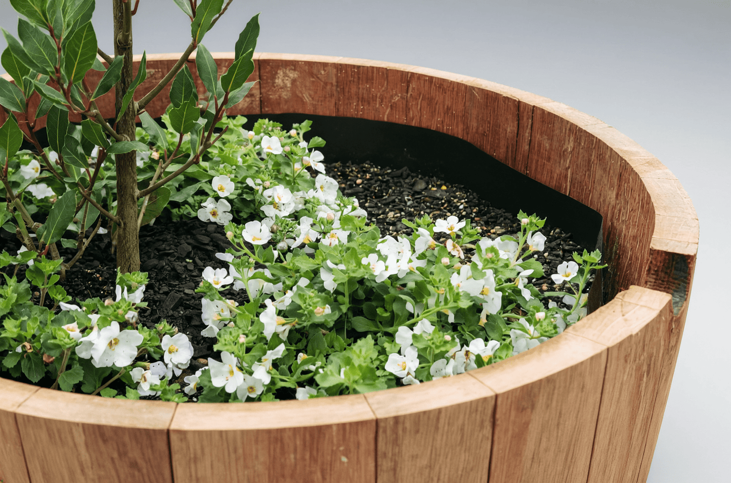 Half Barrel Planter Kit - OAKENZ