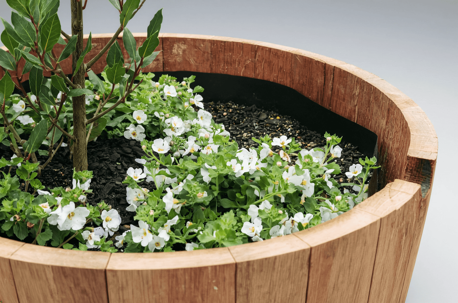 Half Barrel Planter Kit - OAKENZ